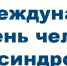 343 - Управление образования