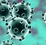coronavirus-1 - Управление образования