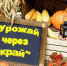 Выставка-конкурс «Урожай через край» - Ужурский ЦДО