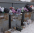 Опрос о деятельности мусорного оператора - Uzhur-City.Ru